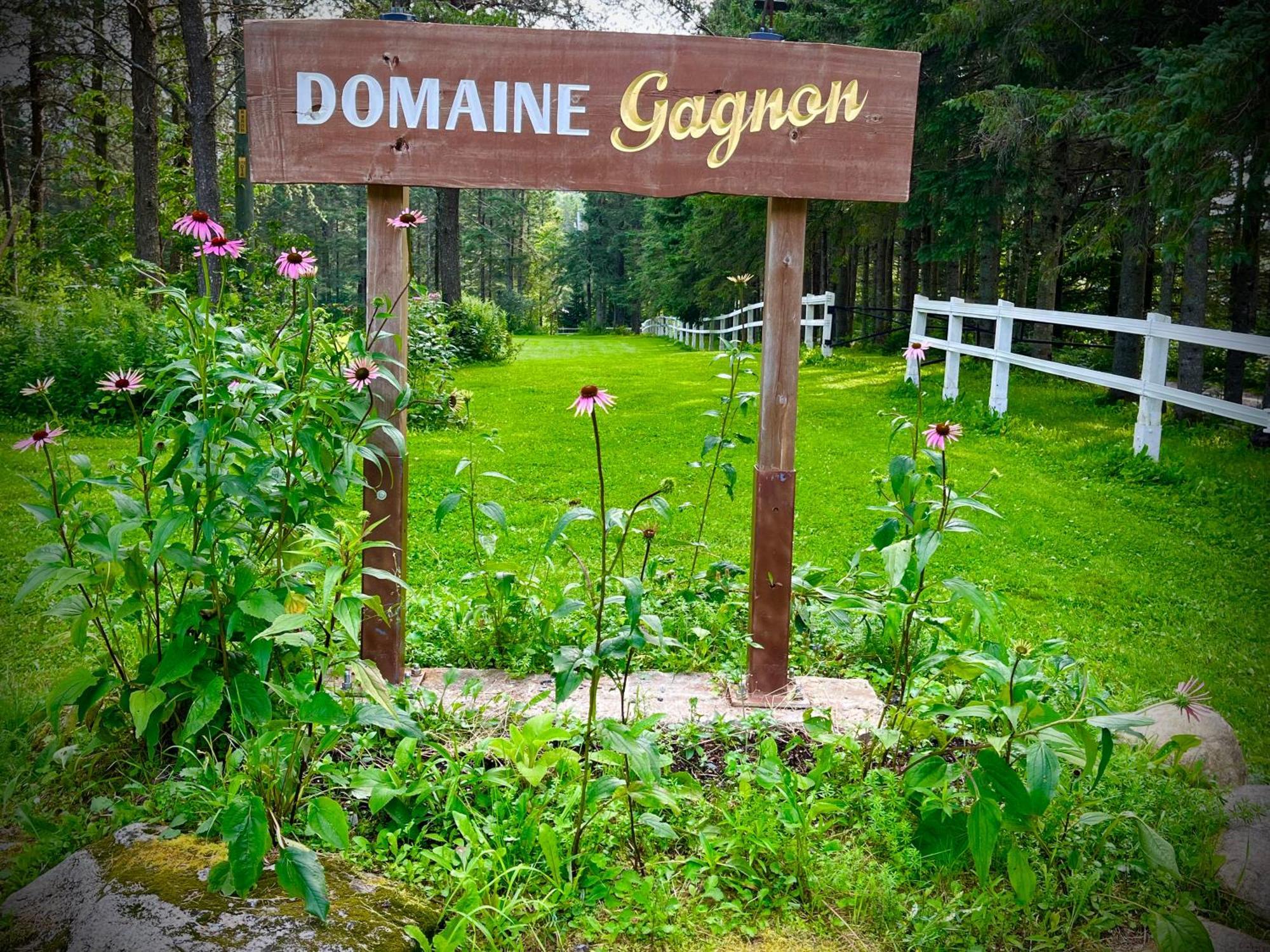 Saint SebastienDomaine Gagnon别墅 外观 照片